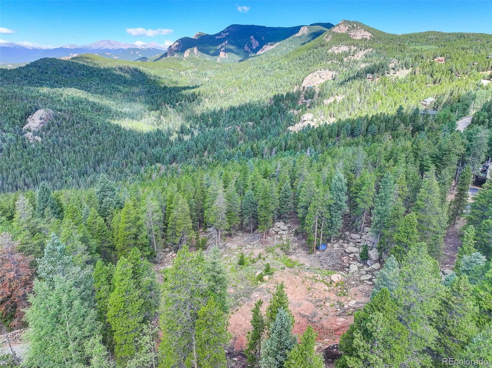 11275 Bear Run Trail Conifer CO 80433
