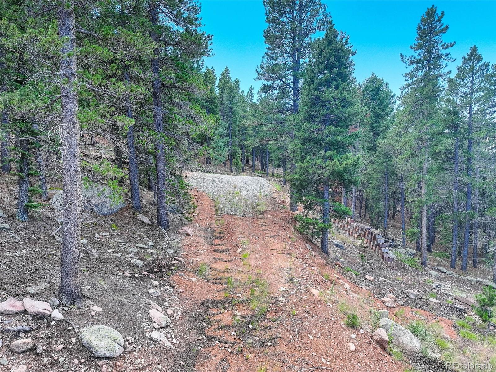 11275 Bear Run Trail Conifer CO 80433