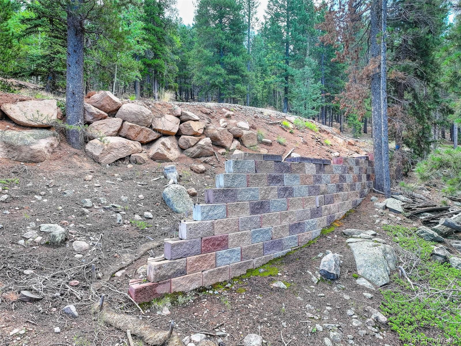 11275 Bear Run Trail Conifer CO 80433