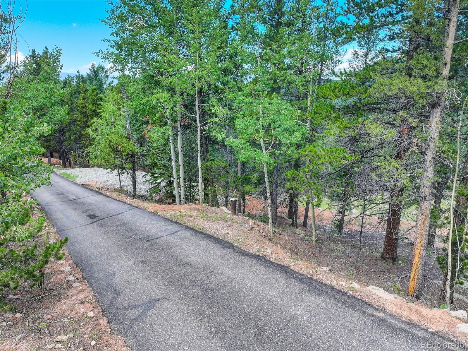 11275 Bear Run Trail Conifer CO 80433
