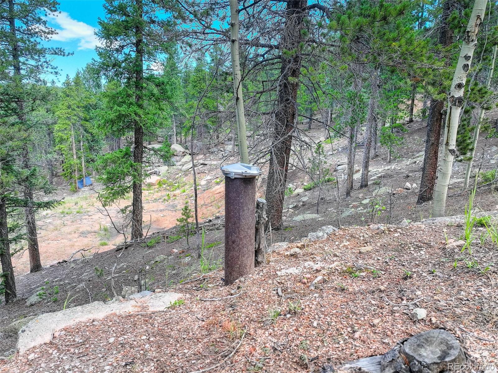 11275 Bear Run Trail Conifer CO 80433