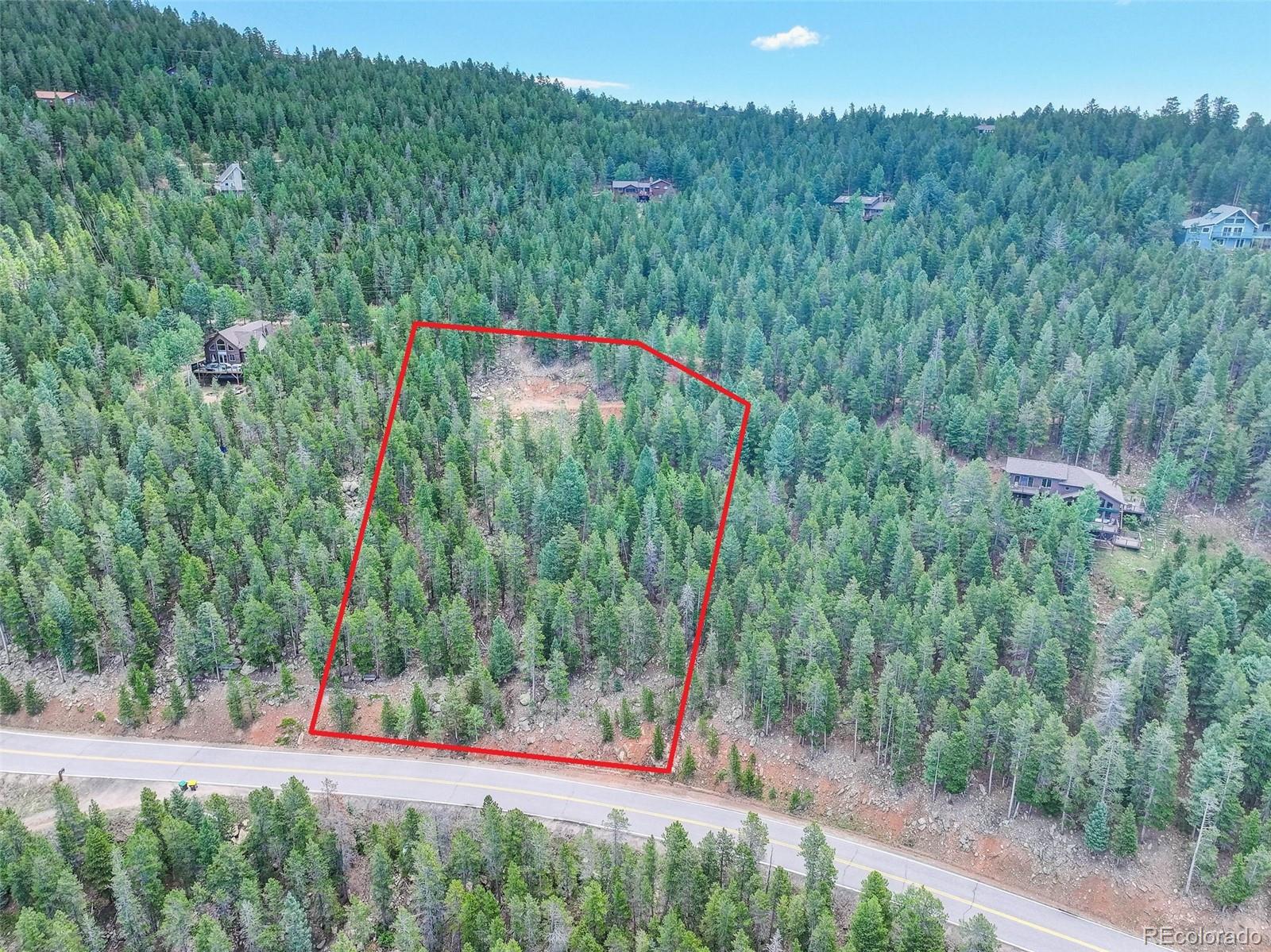 11275 Bear Run Trail Conifer CO 80433