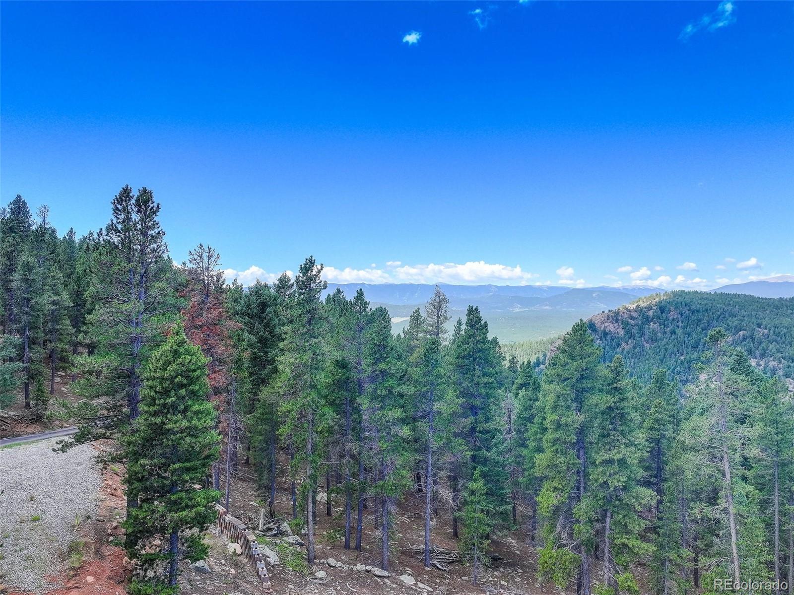 11275 Bear Run Trail Conifer CO 80433