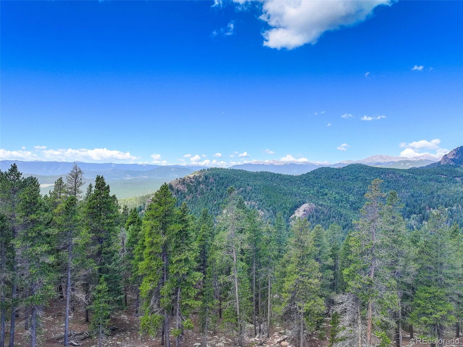 11275 Bear Run Trail Conifer CO 80433