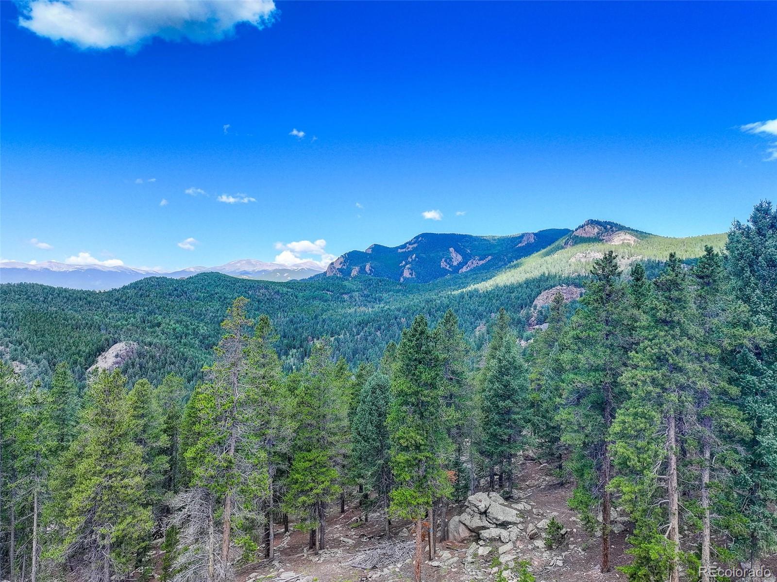 11275 Bear Run Trail Conifer CO 80433