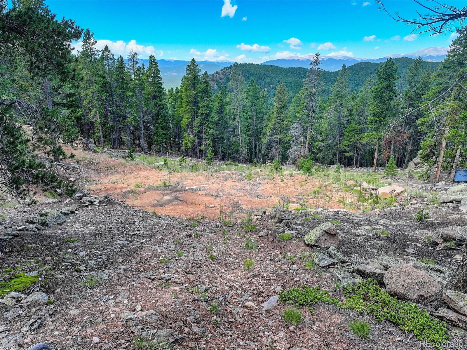 11275 Bear Run Trail Conifer CO 80433
