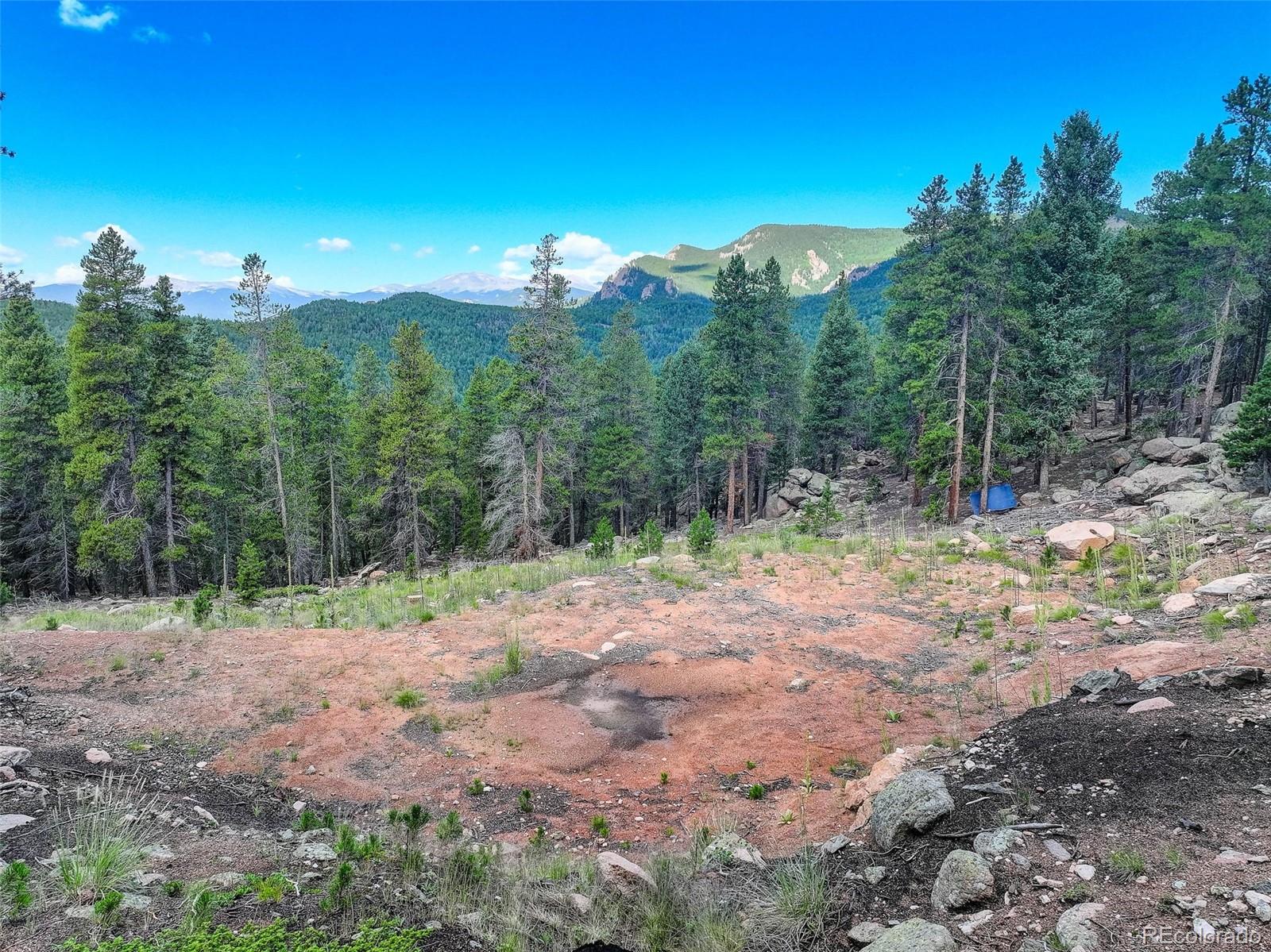 11275 Bear Run Trail Conifer CO 80433