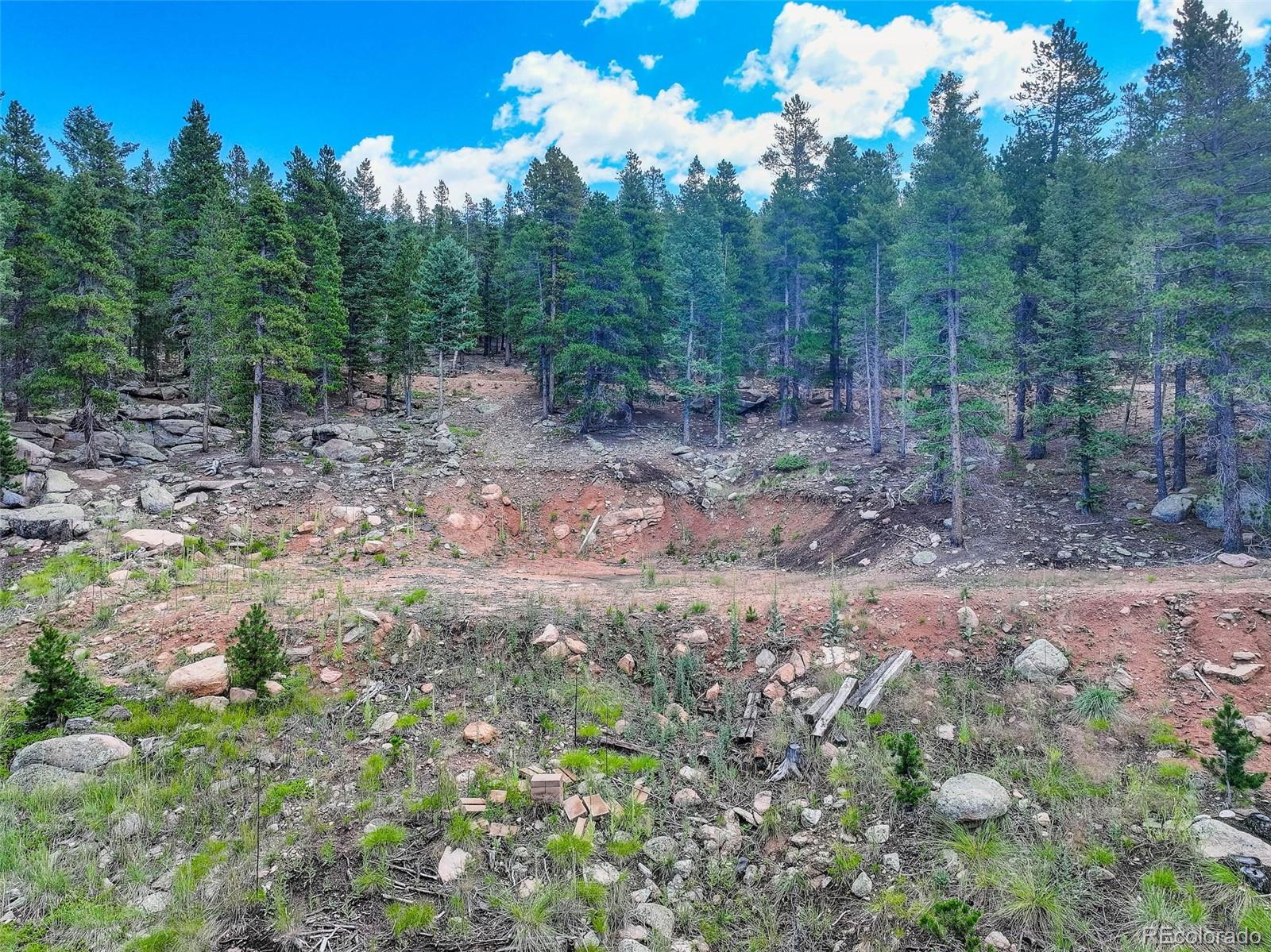 11275 Bear Run Trail Conifer CO 80433
