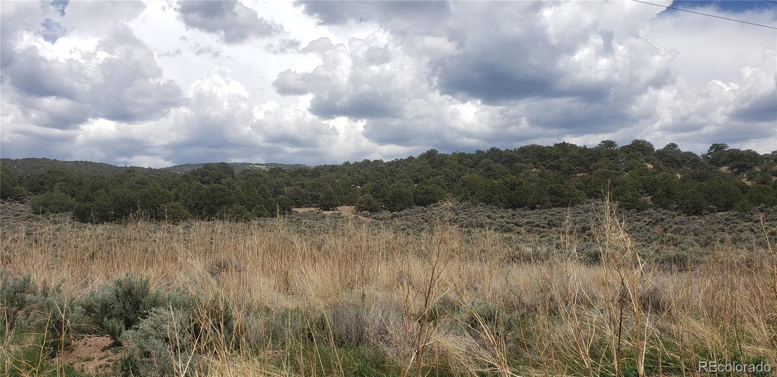 Lot 1505 Juarez & Dunn Road San Luis CO 81152