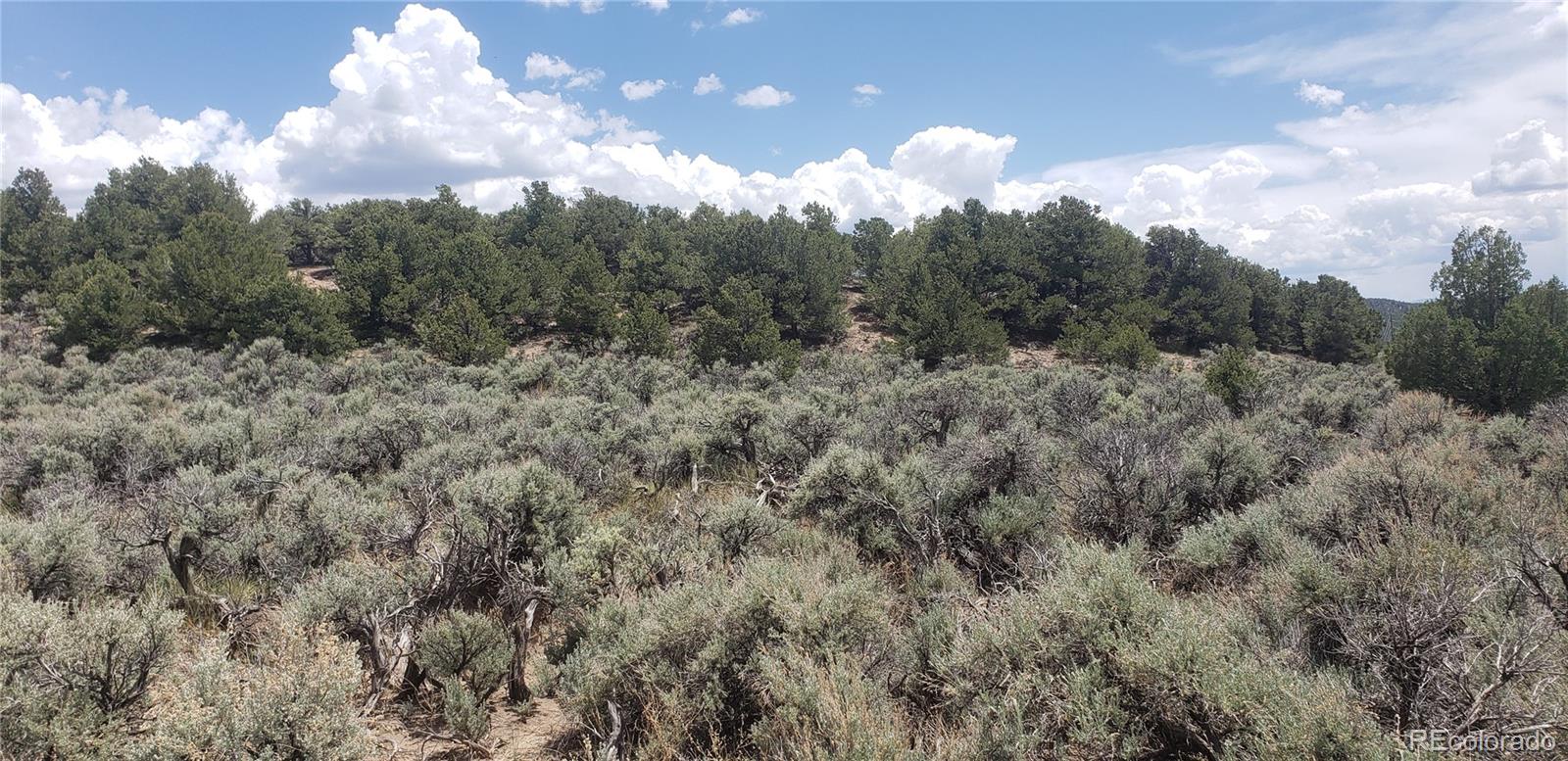 Lot 1505 Juarez & Dunn Road San Luis CO 81152