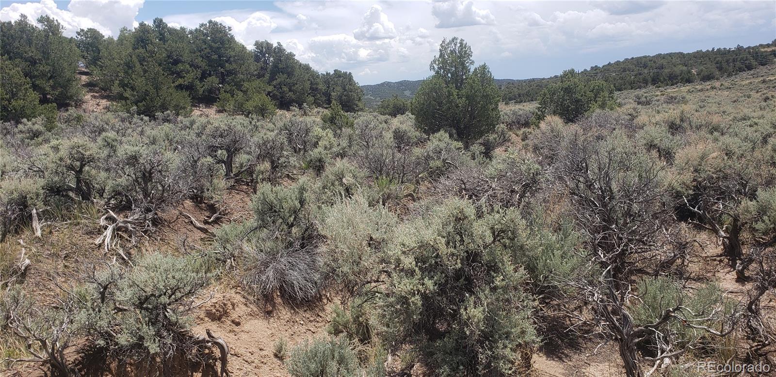 Lot 1505 Juarez & Dunn Road San Luis CO 81152