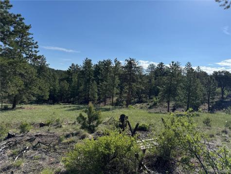 69 Coyote Run Road Cotopaxi CO 81223