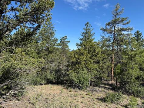 69 Coyote Run Road Cotopaxi CO 81223