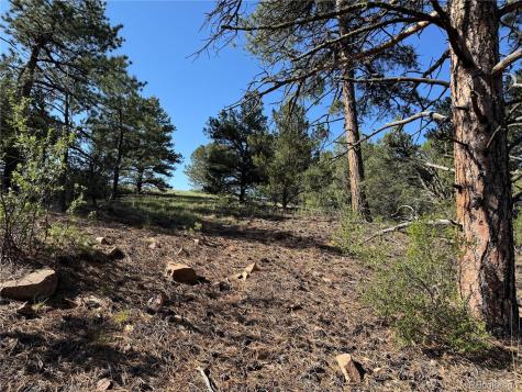 69 Coyote Run Road Cotopaxi CO 81223