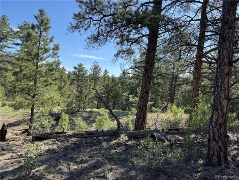 69 Coyote Run Road Cotopaxi CO 81223