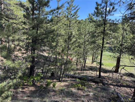 69 Coyote Run Road Cotopaxi CO 81223