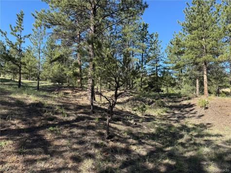 69 Coyote Run Road Cotopaxi CO 81223