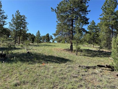 69 Coyote Run Road Cotopaxi CO 81223