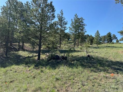 69 Coyote Run Road Cotopaxi CO 81223