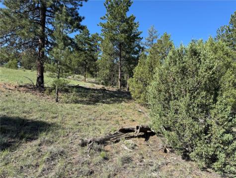 69 Coyote Run Road Cotopaxi CO 81223