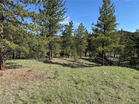 69 Coyote Run Road Cotopaxi CO 81223