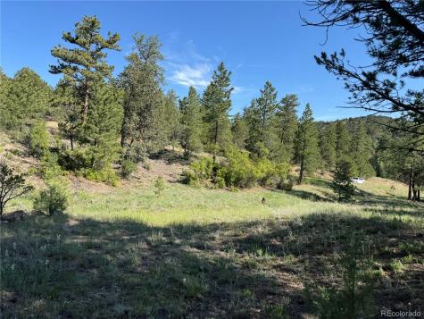 69 Coyote Run Road Cotopaxi CO 81223