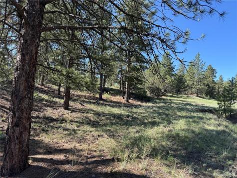 69 Coyote Run Road Cotopaxi CO 81223