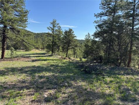 69 Coyote Run Road Cotopaxi CO 81223