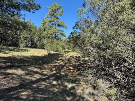 69 Coyote Run Road Cotopaxi CO 81223