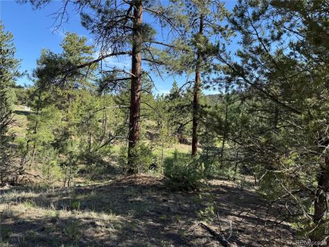 69 Coyote Run Road Cotopaxi CO 81223