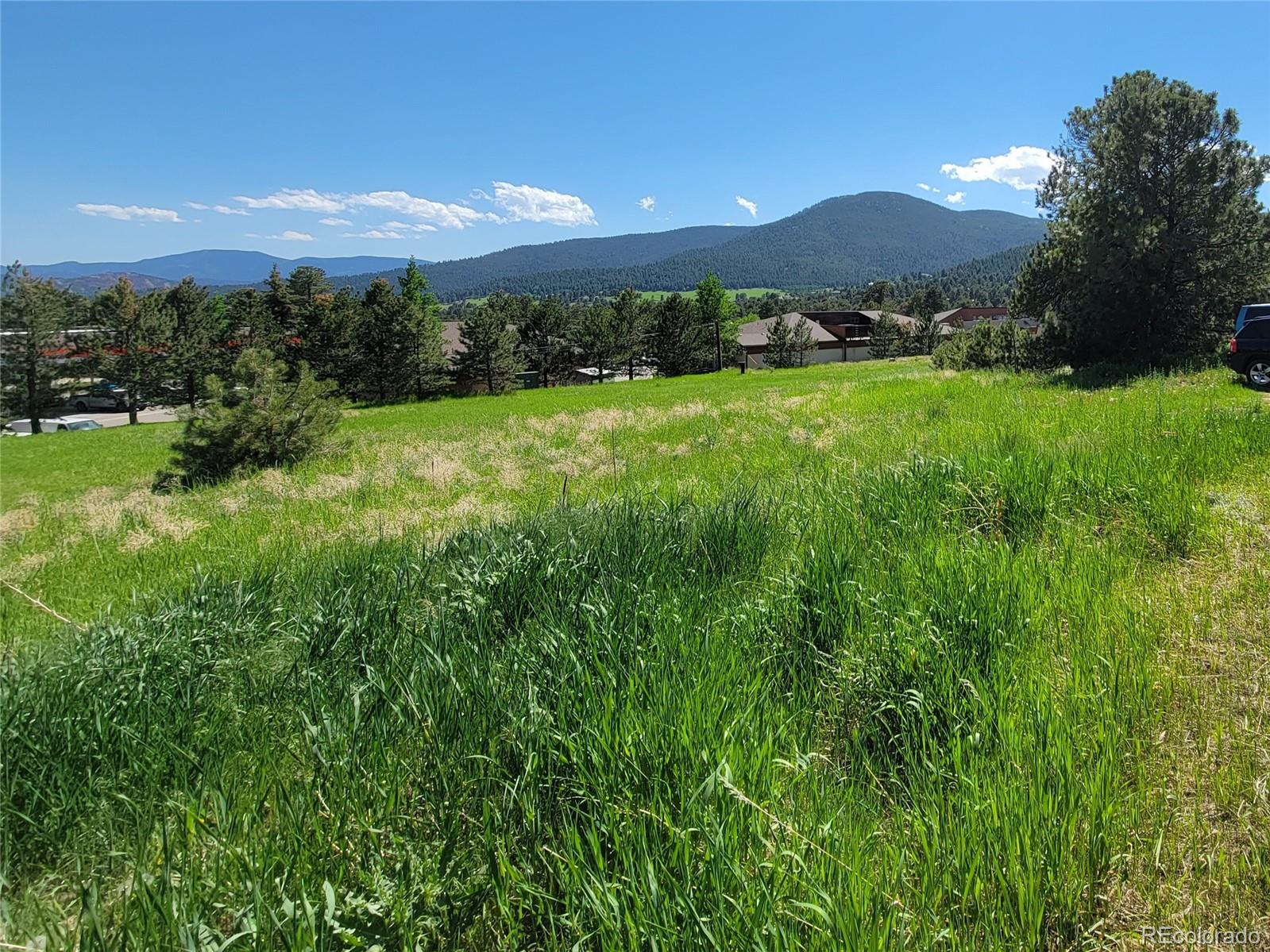 31720 Rocky Village Drive Evergreen CO 80439