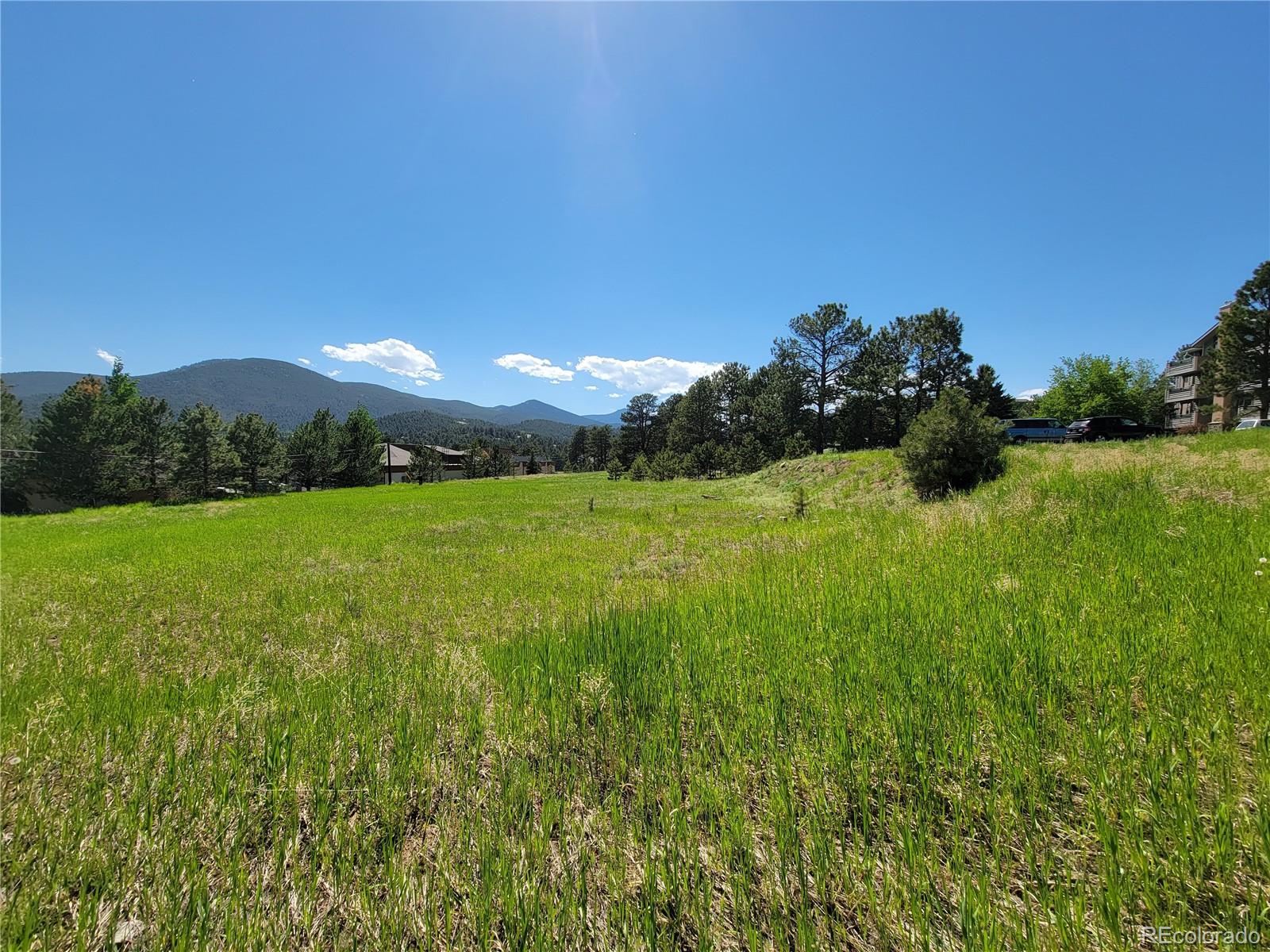 31720 Rocky Village Drive Evergreen CO 80439