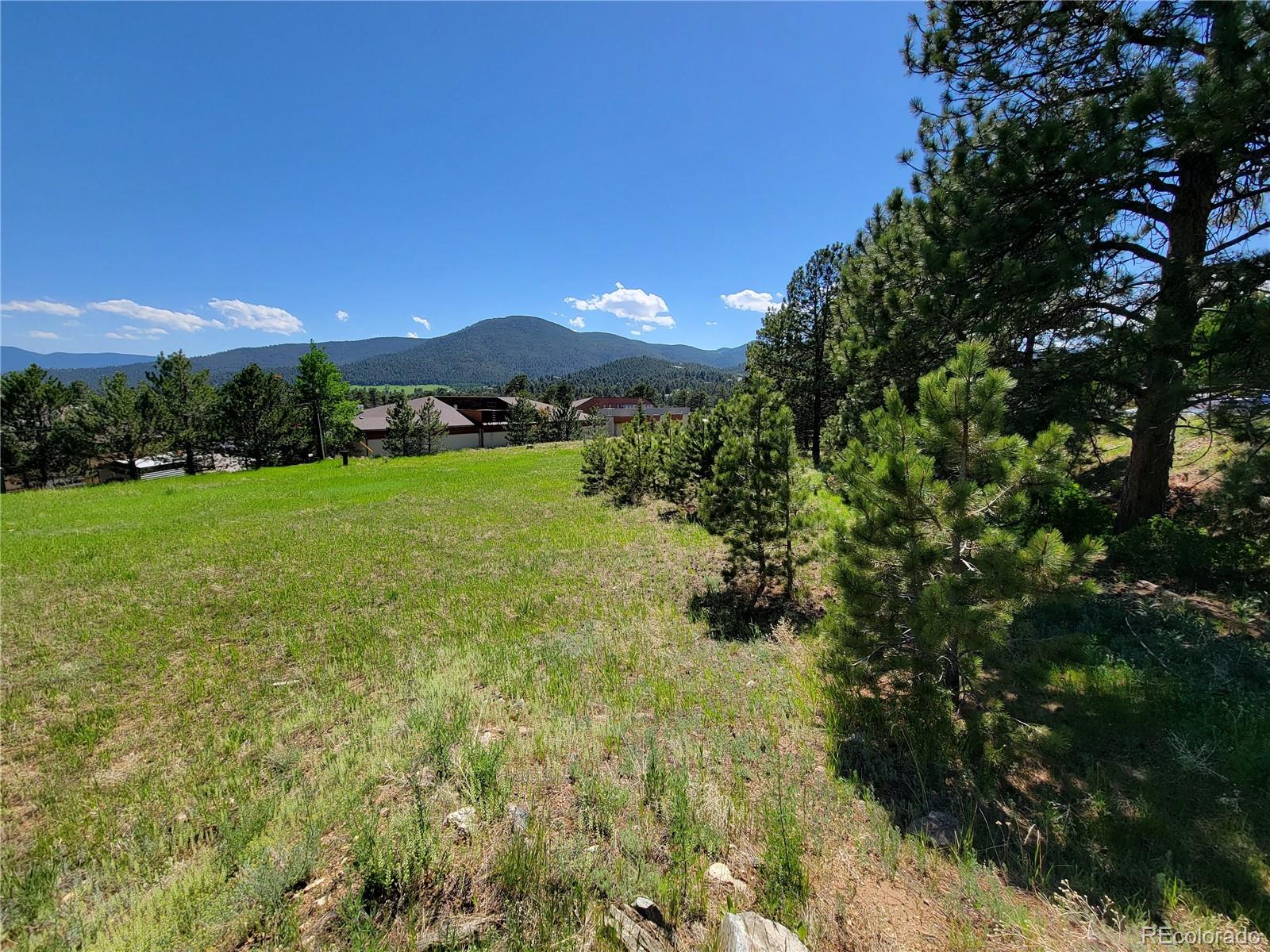 31720 Rocky Village Drive Evergreen CO 80439