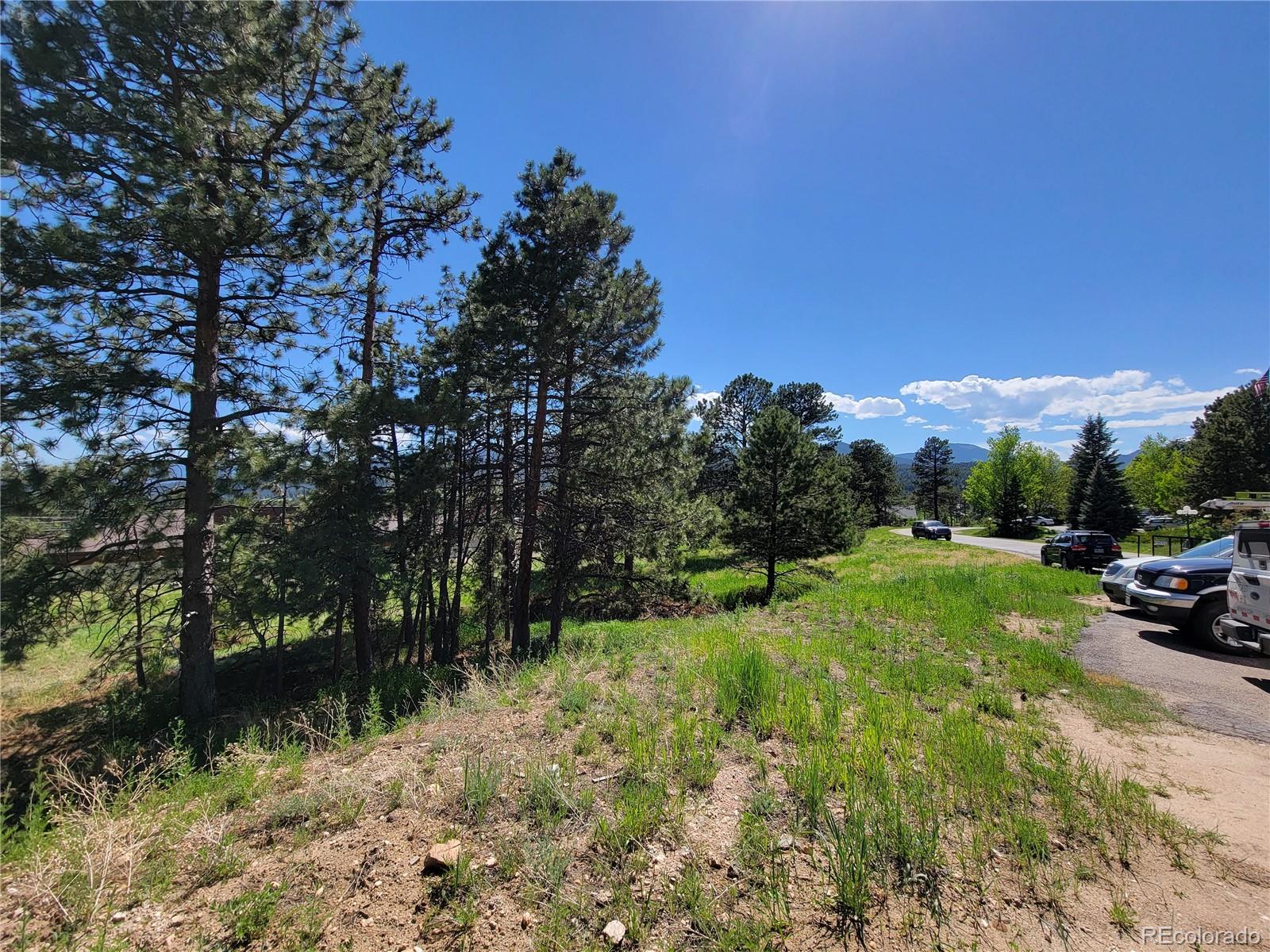 31720 Rocky Village Drive Evergreen CO 80439