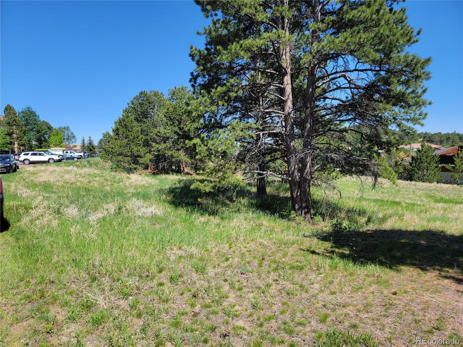 31720 Rocky Village Drive Evergreen CO 80439