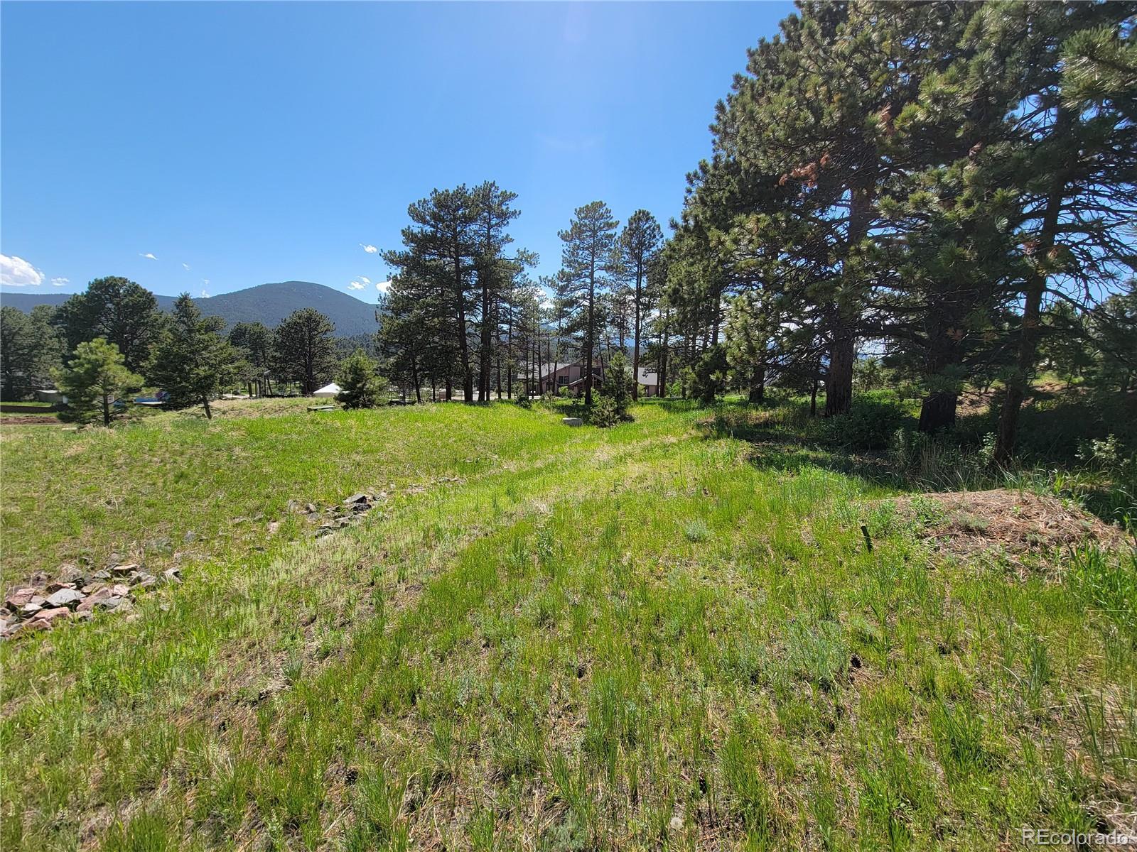 31720 Rocky Village Drive Evergreen CO 80439