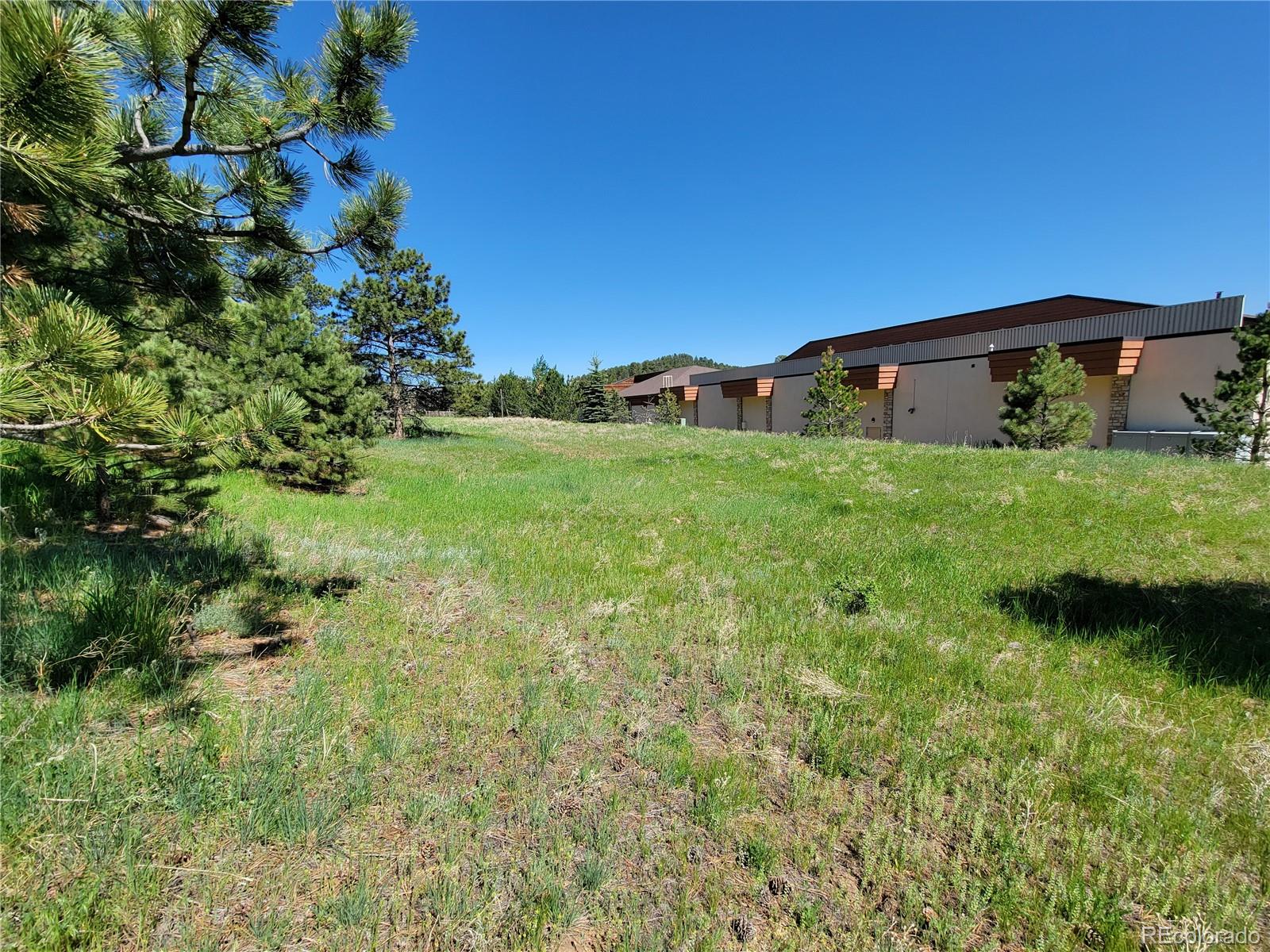 31720 Rocky Village Drive Evergreen CO 80439