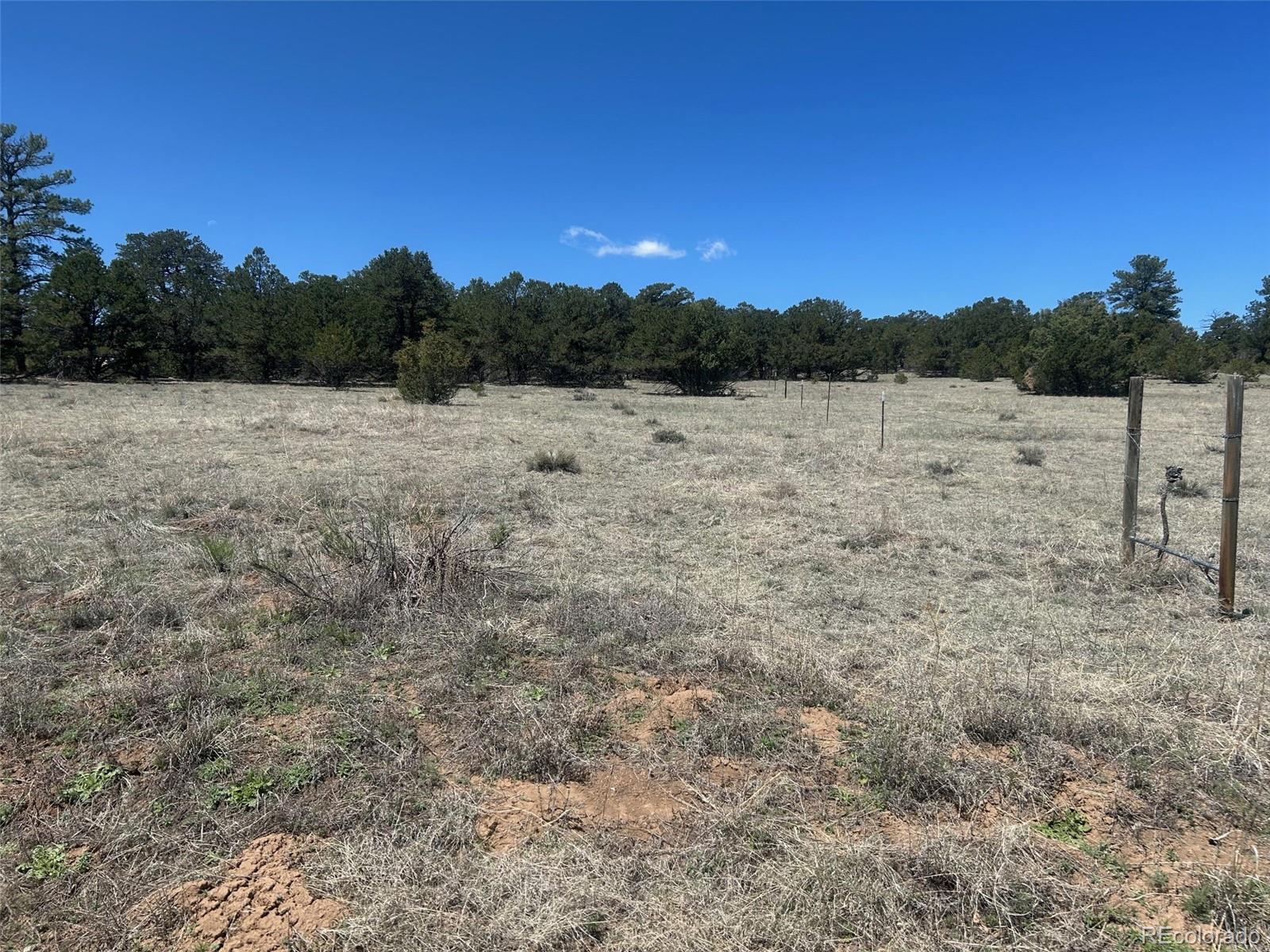 35TH Trail Cotopaxi CO 81223