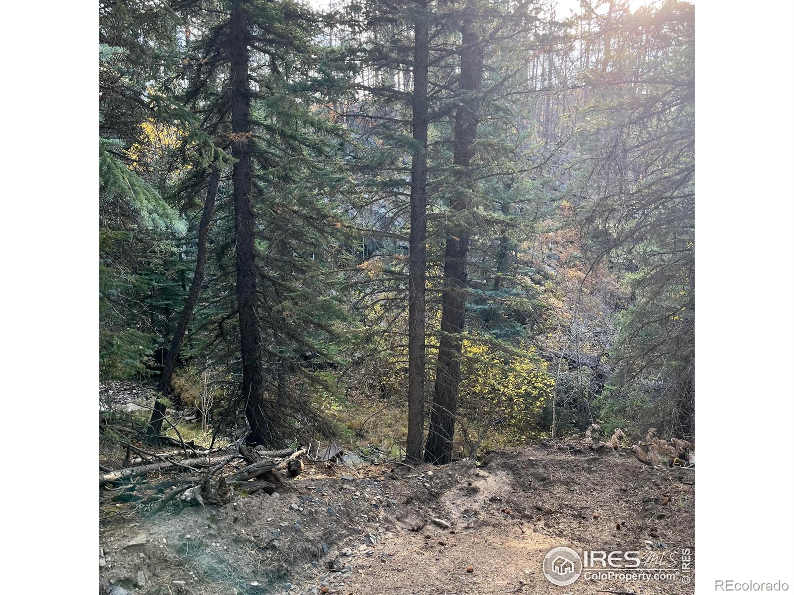 11 Monument Gulch Way Bellvue CO 80512