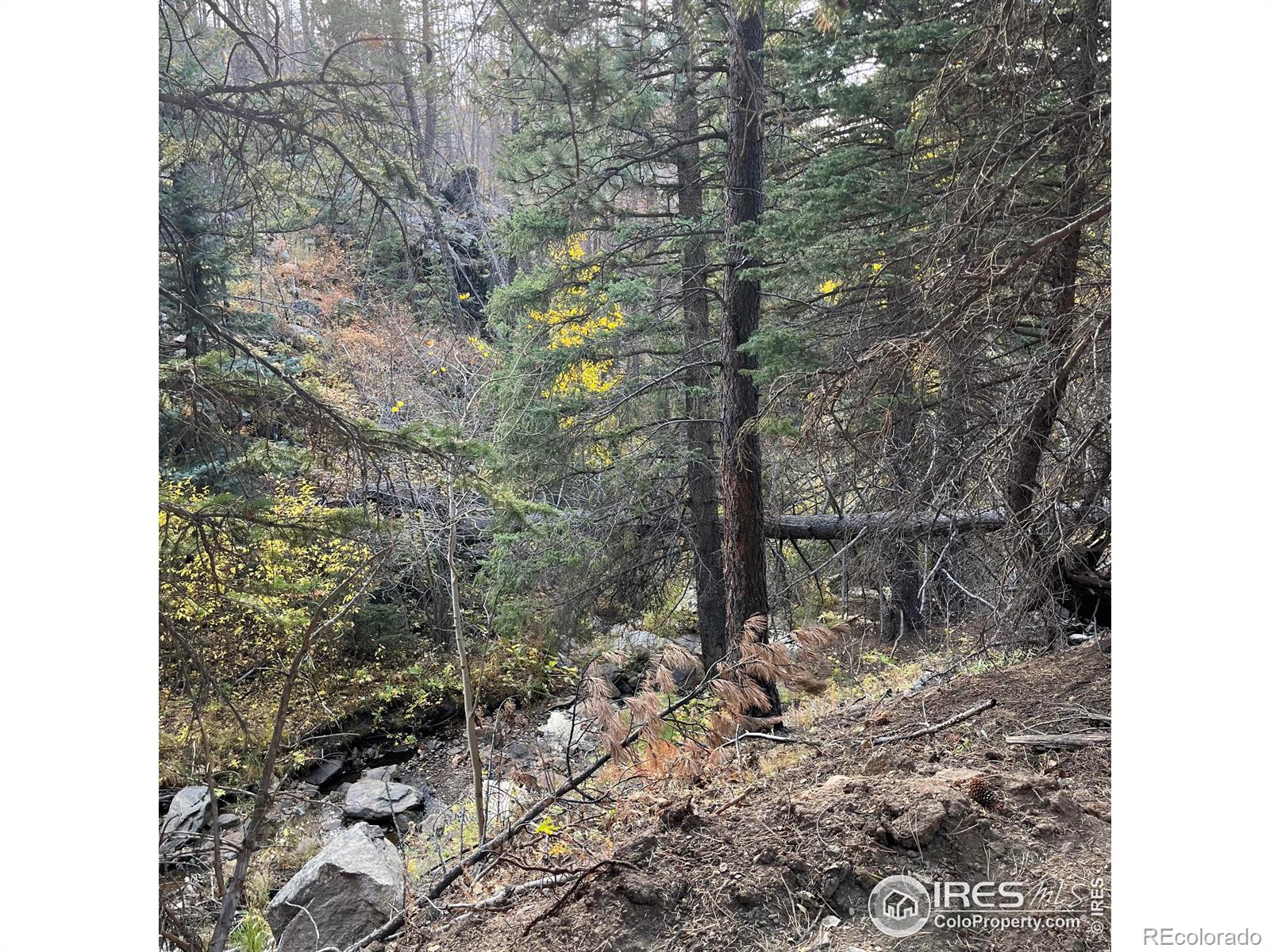 11 Monument Gulch Way Bellvue CO 80512