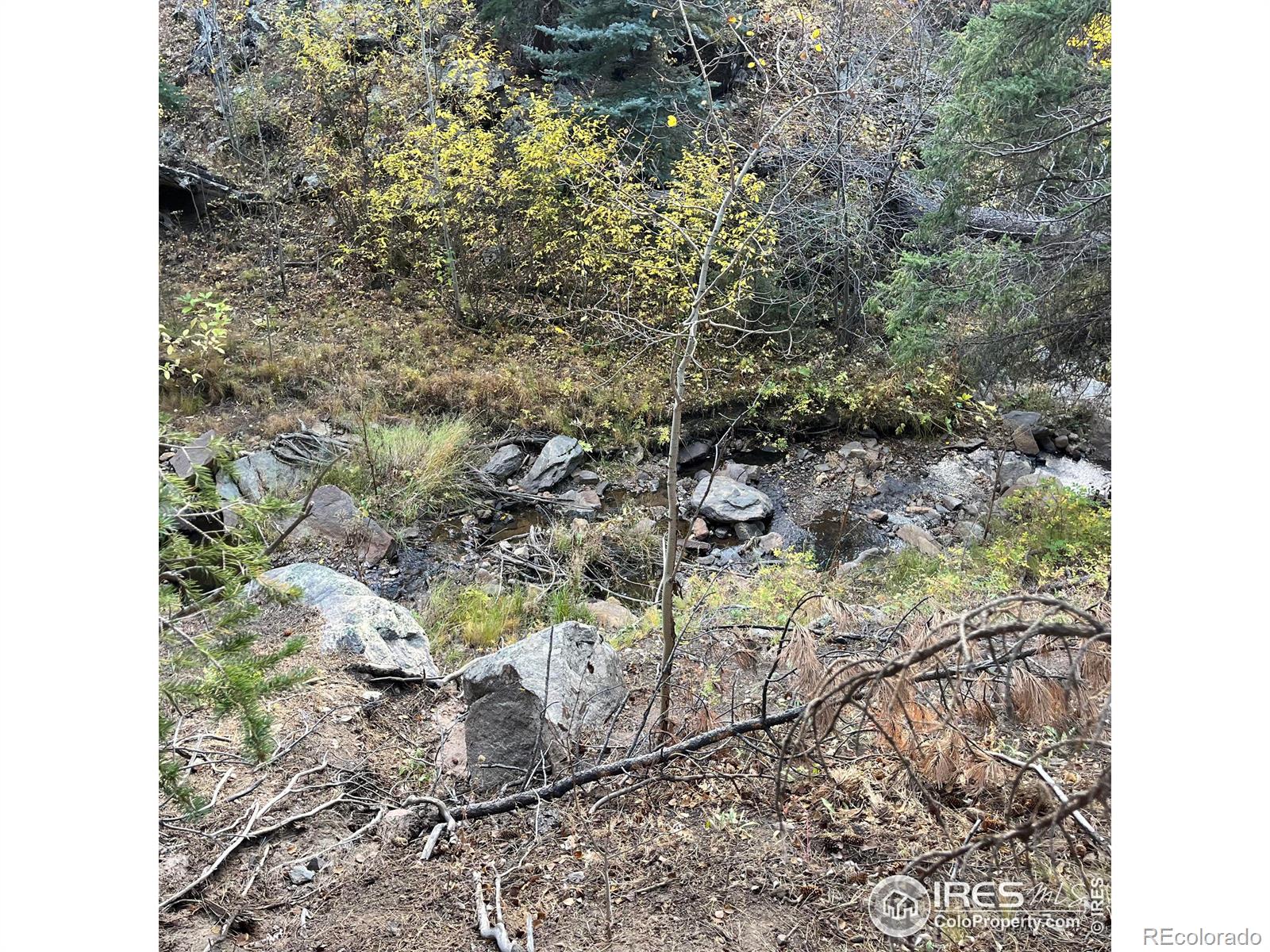 11 Monument Gulch Way Bellvue CO 80512