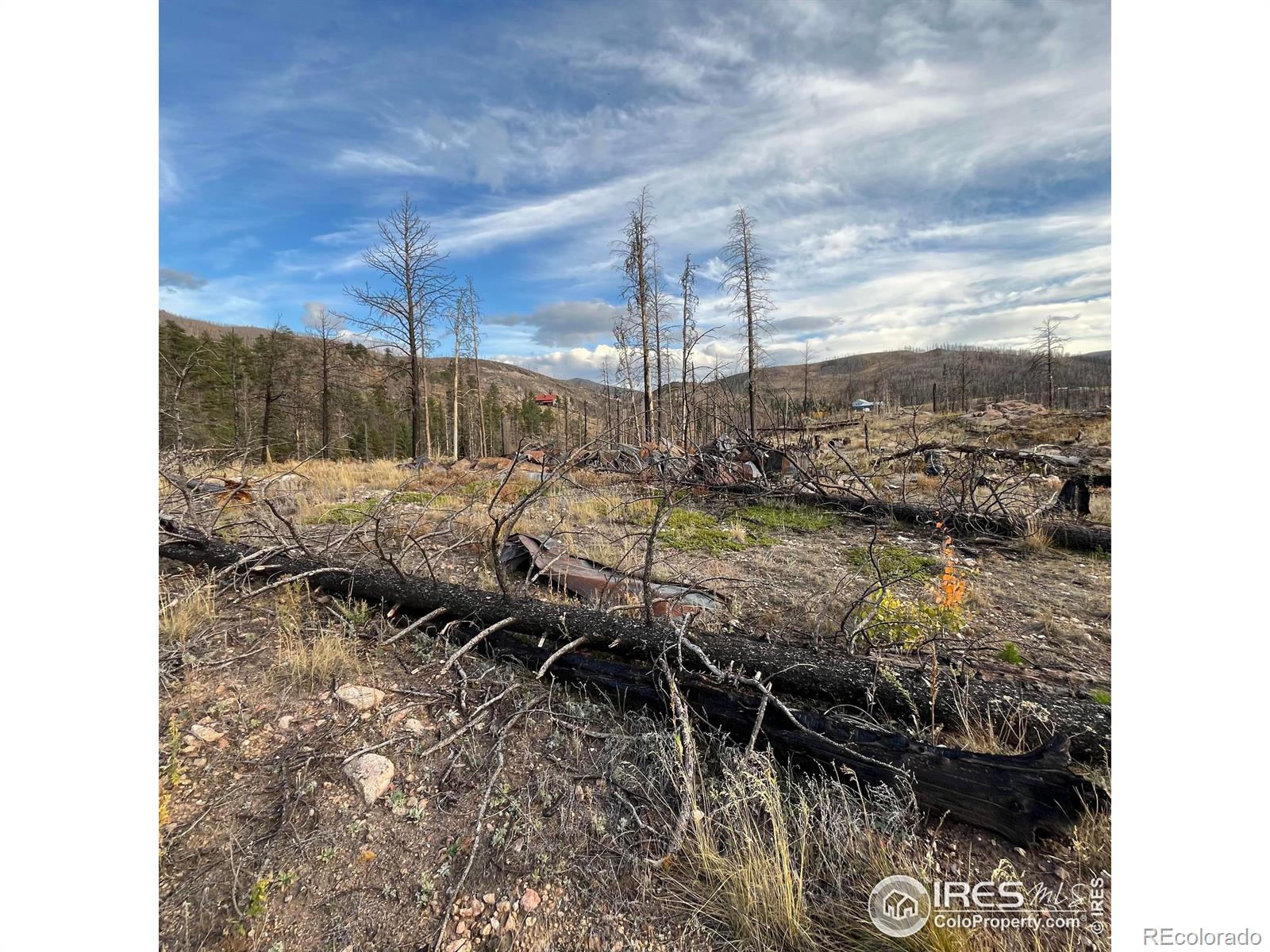 11 Monument Gulch Way Bellvue CO 80512
