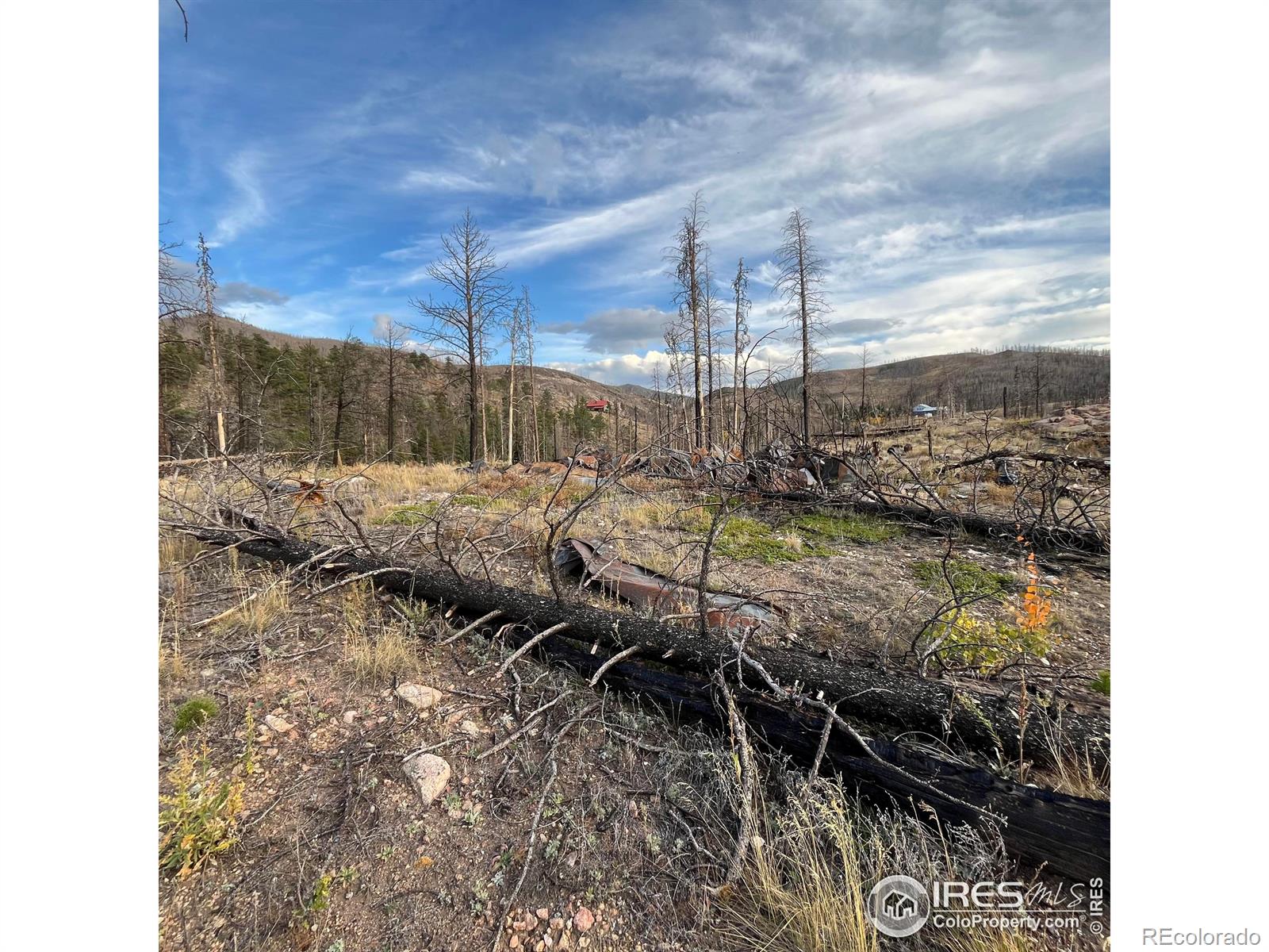 11 Monument Gulch Way Bellvue CO 80512
