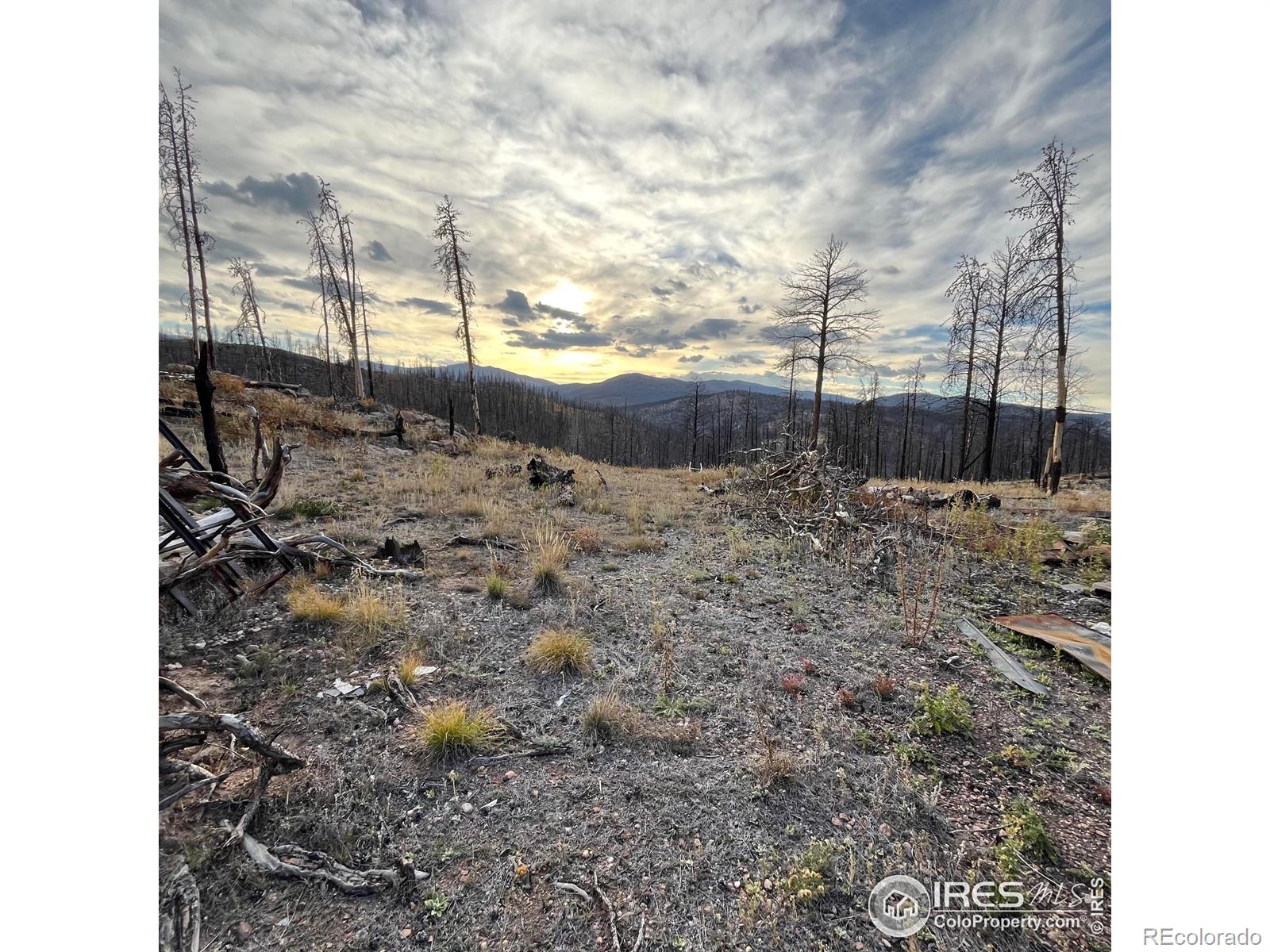 11 Monument Gulch Way Bellvue CO 80512