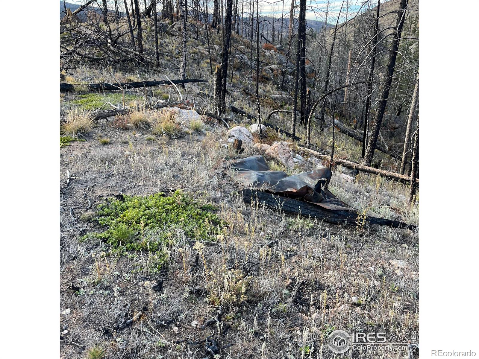 11 Monument Gulch Way Bellvue CO 80512