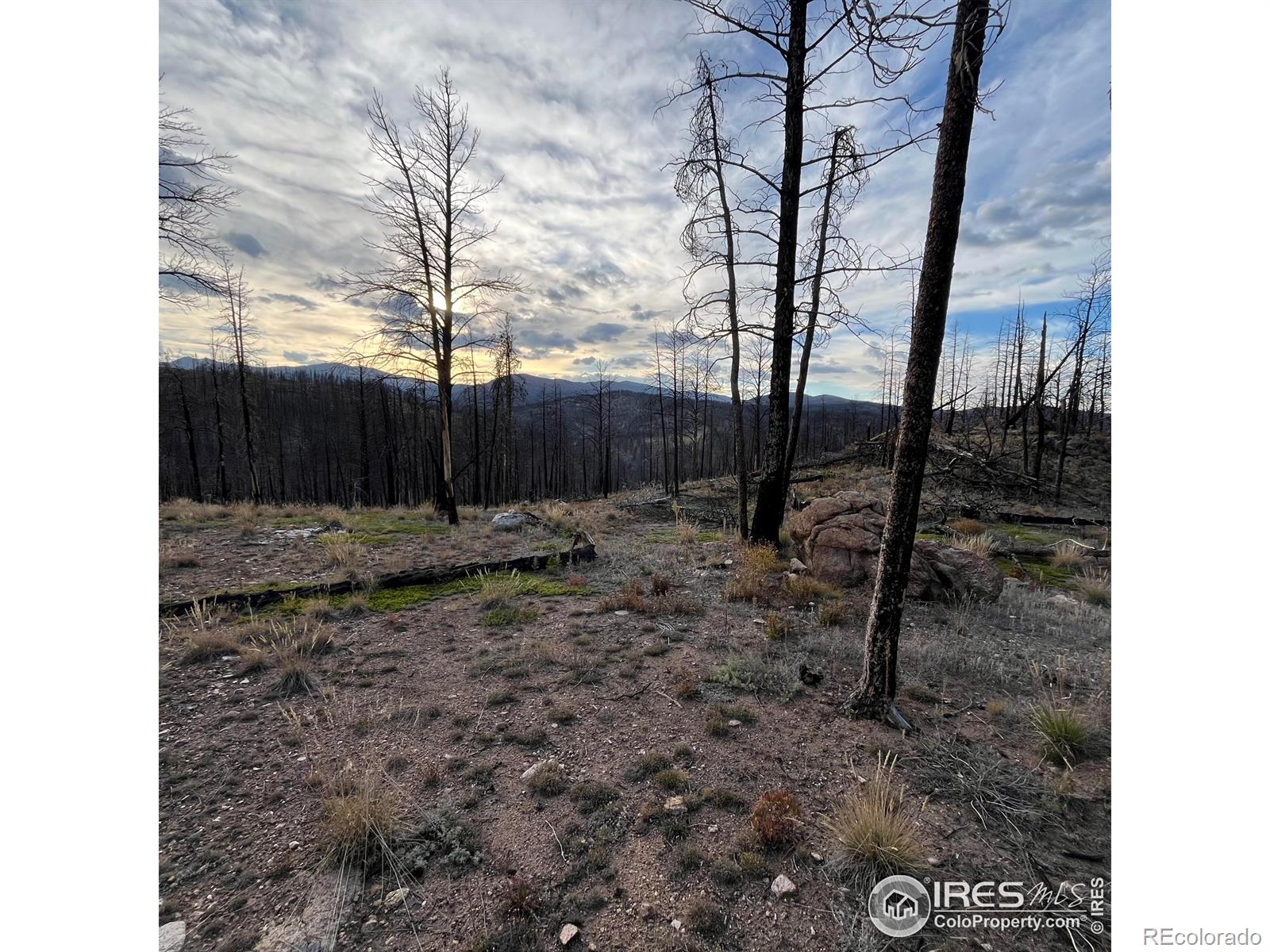 11 Monument Gulch Way Bellvue CO 80512