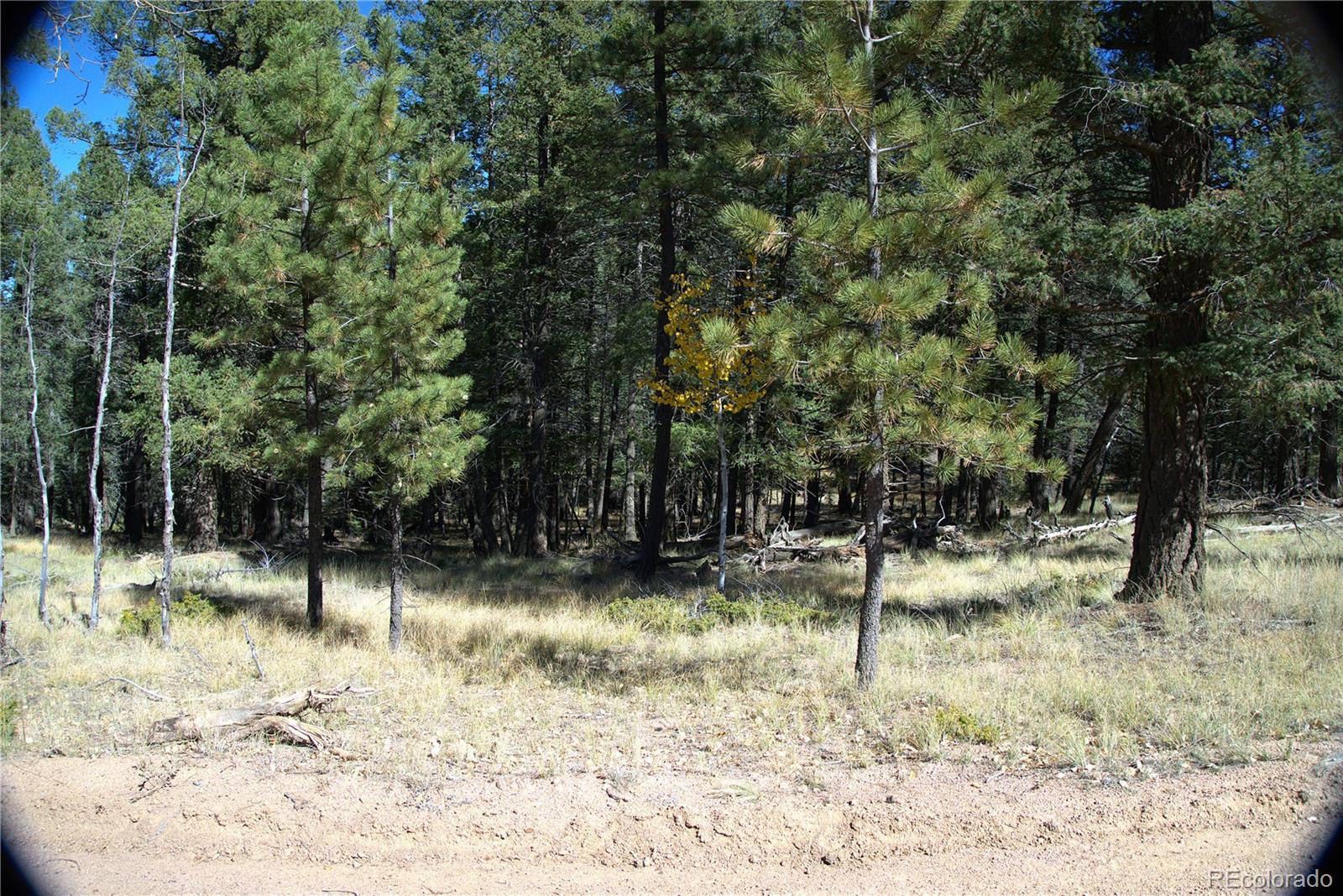 252 Southpark Road Florissant CO 80816
