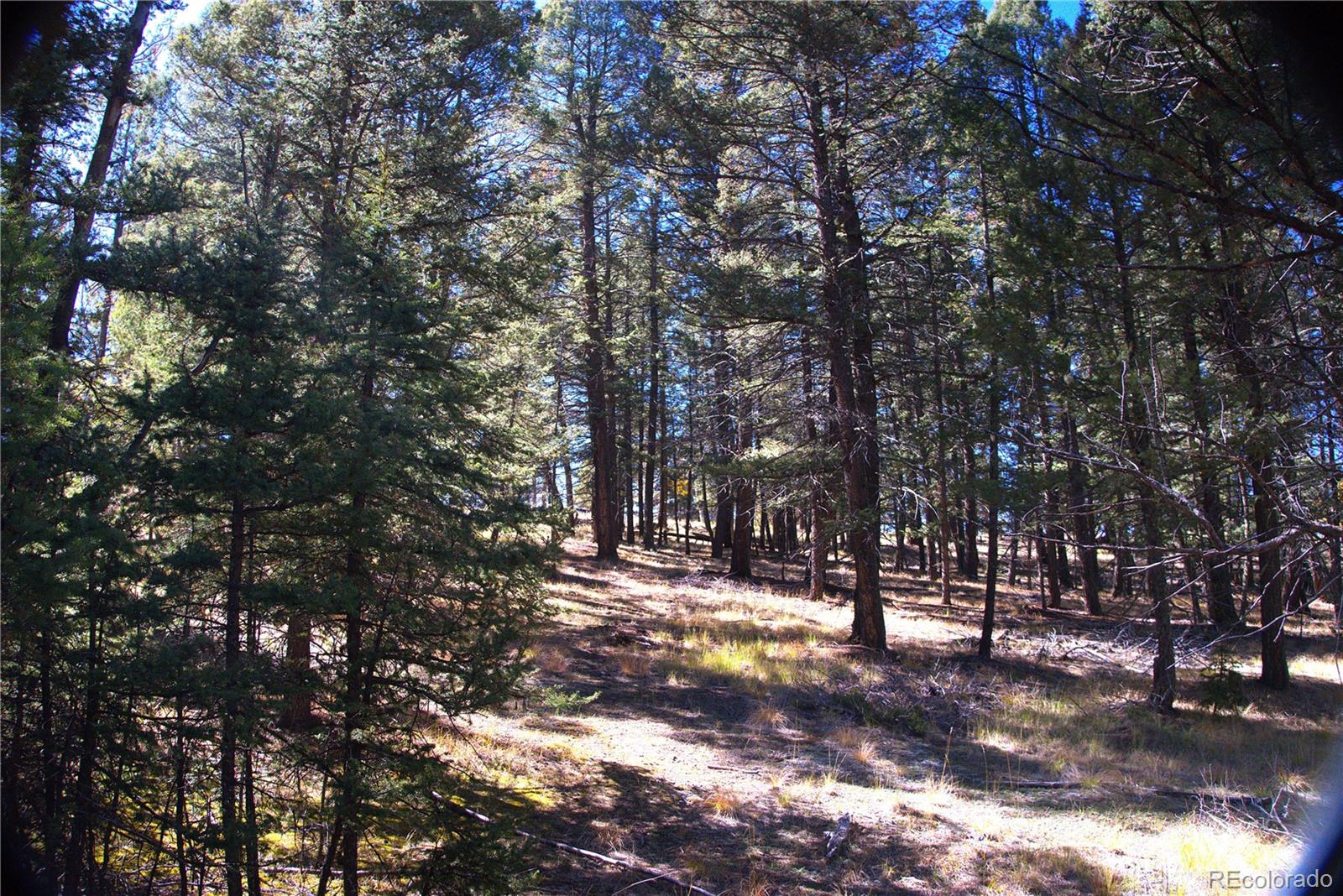 252 Southpark Road Florissant CO 80816