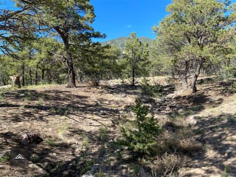 407 N Chaparral Way Crestone CO 81131