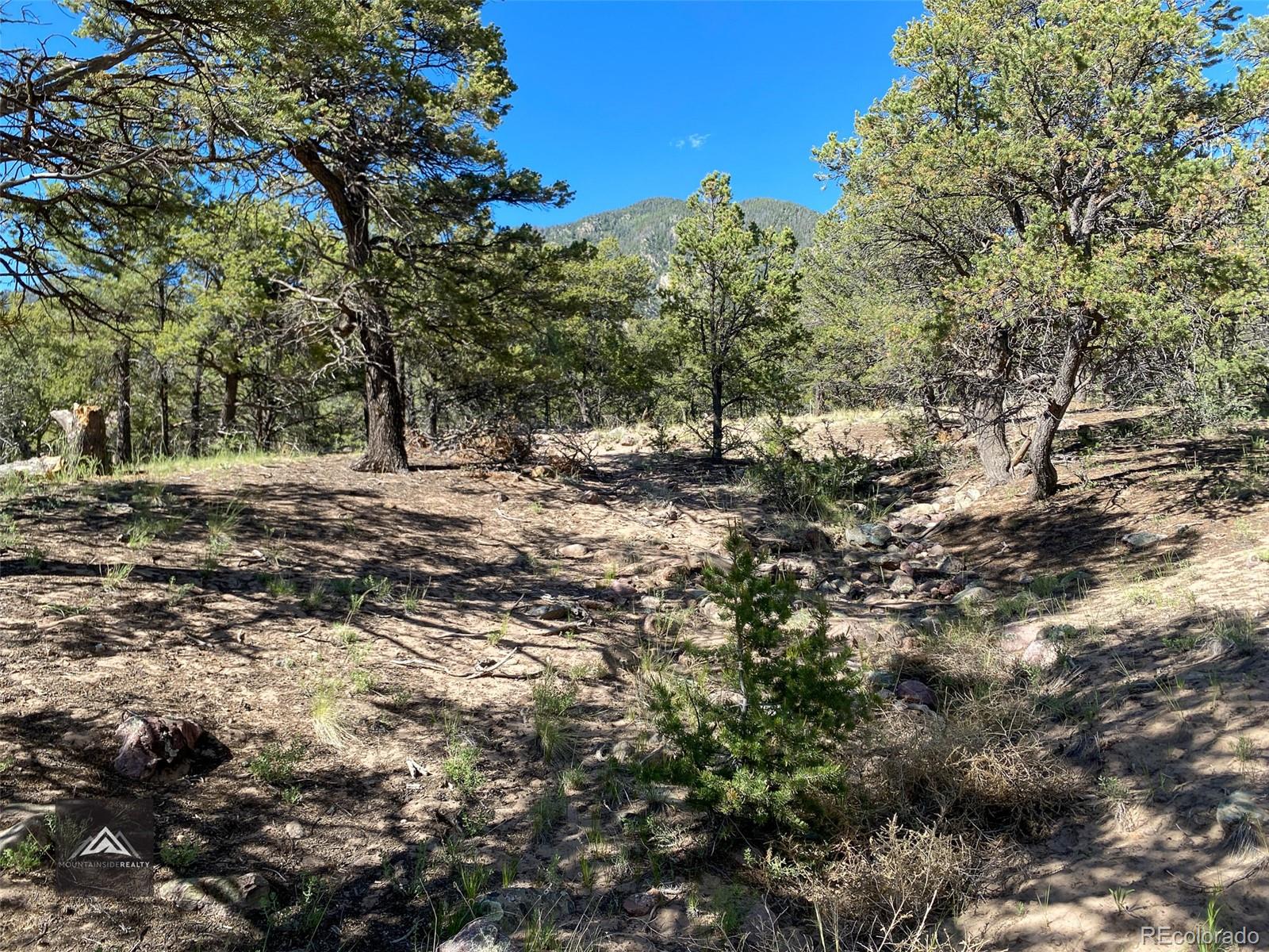 407 N Chaparral Way Crestone CO 81131
